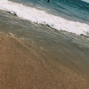 Meet your Posher, Liv